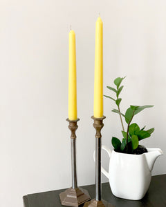 100% Pure Beeswax Taper Candles Set of 2- 10” Tapers